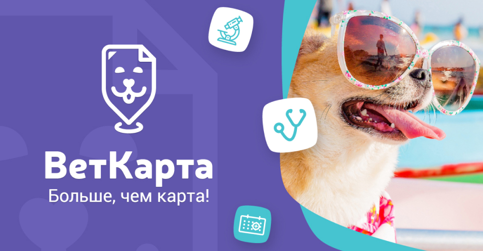 Выделения после течки - ПЕКИНЕС форум. PEKINGESE FORUM.