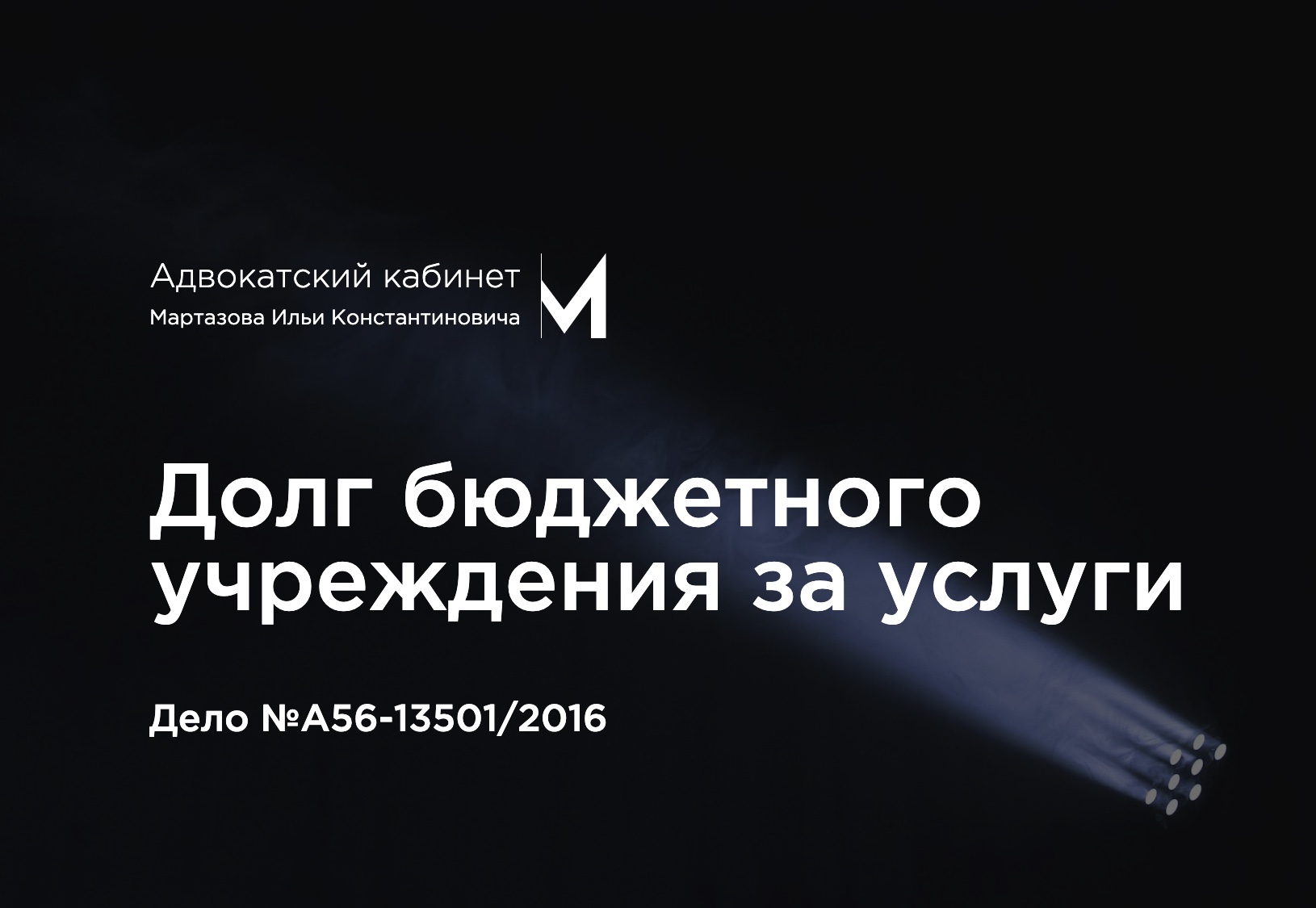Долг бюджетного учреждения за услуги. Дело №А56-13501/2016