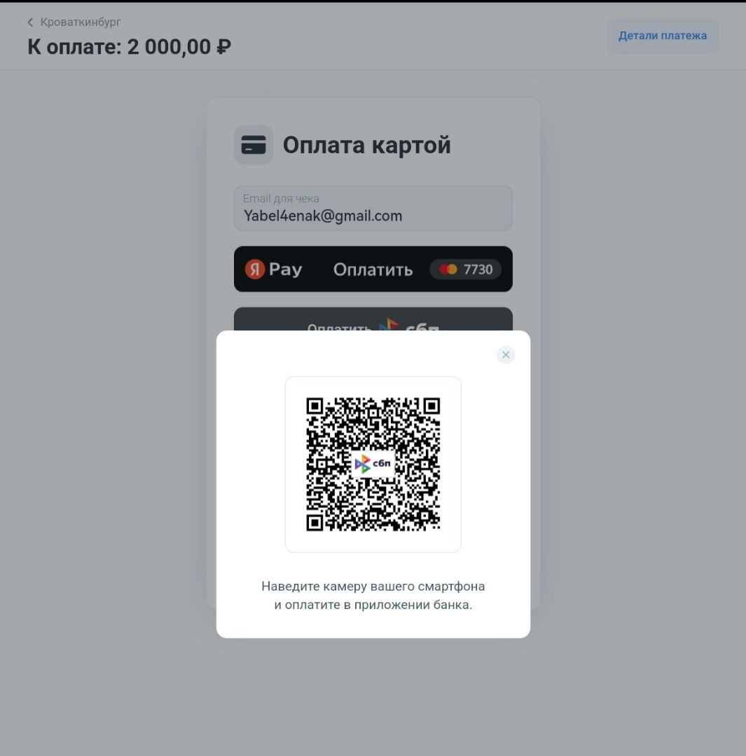 Инструкция по оплате через СБП