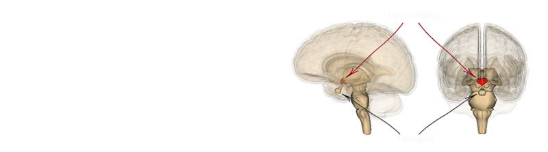 Валерий Уваров Пирамиды наследие богов, Кадуцеи Гора, Кадуцеи Ба-Ка, Жезлы Гора, Цилиндры фараона, Жезлы Египтян, Жезлы Ра