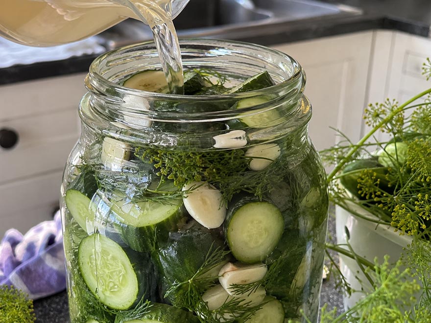 Quick refrigerator pickle jar with sliced cucumbers, dill, and garlic