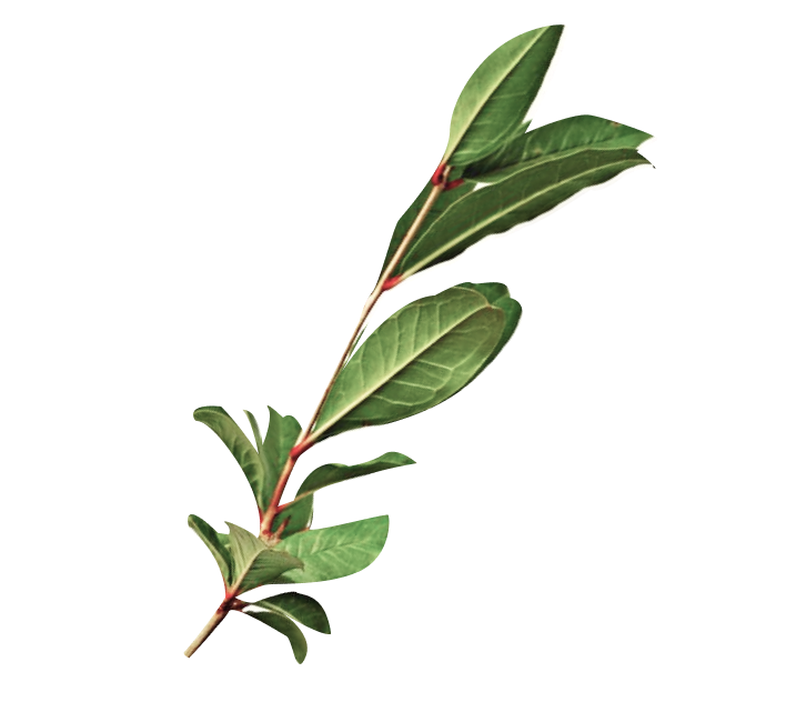 В добрый путь!