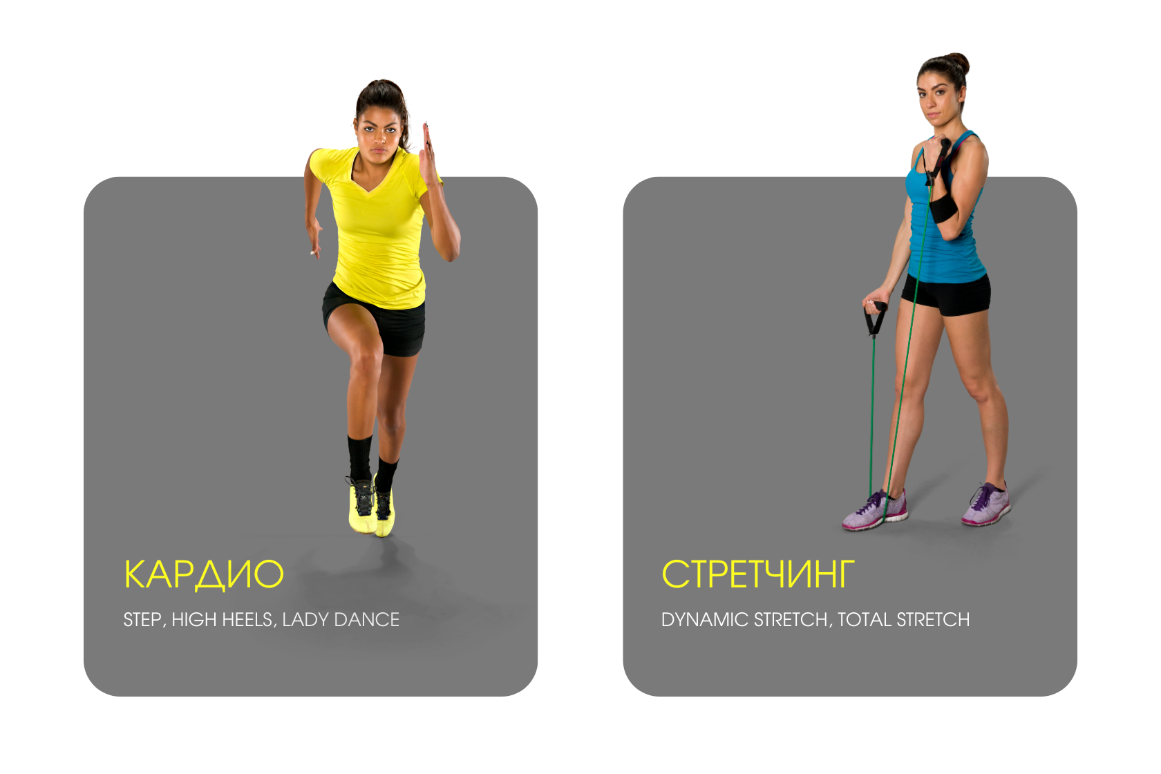 фитнес-клубы jet gym в Ростове-на-Дону