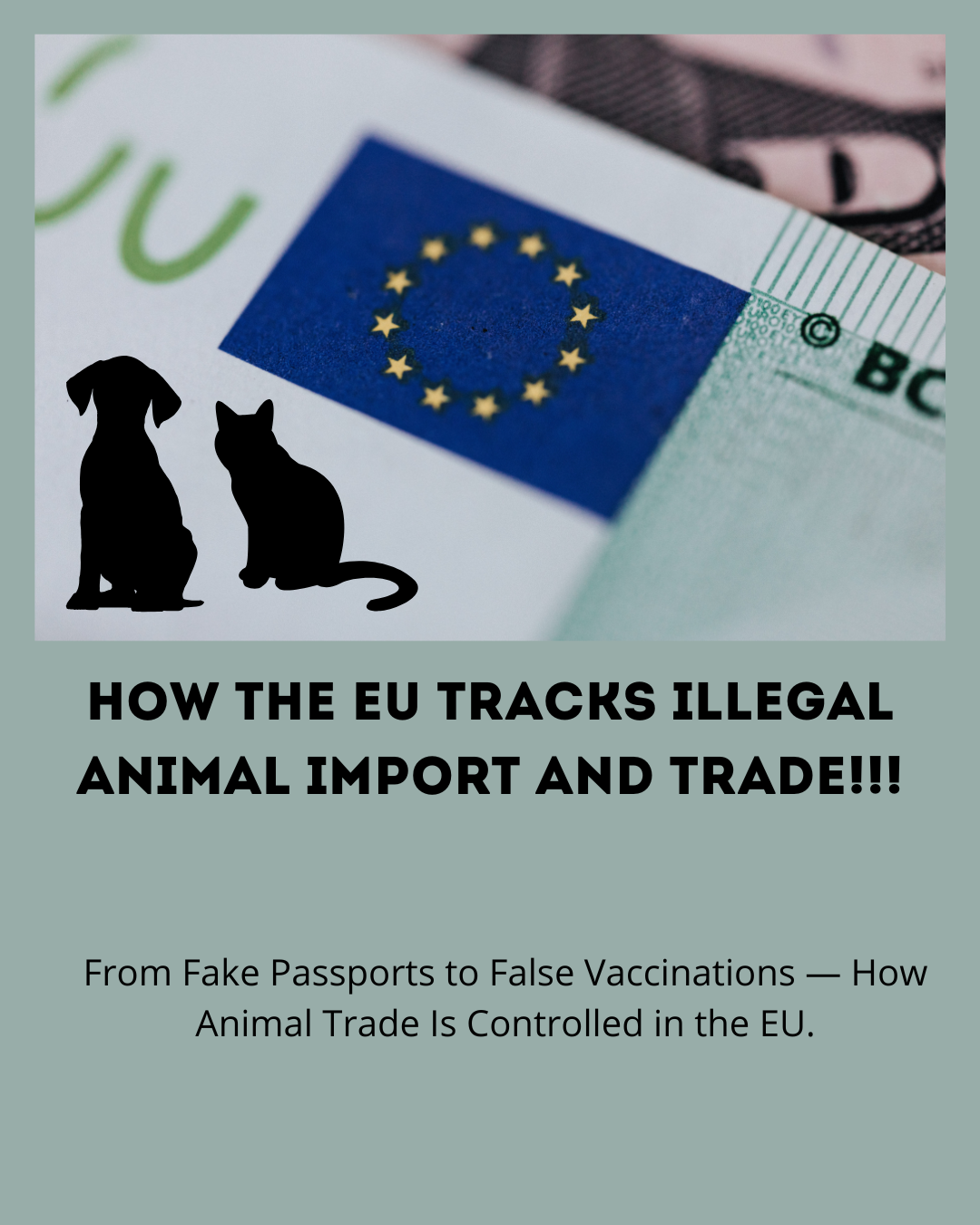 Illustration of the iRASFF system used by the EU to monitor and stop illegal animal trade