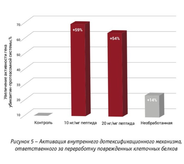 Рисунок 5. Активация детоксификационного механизма