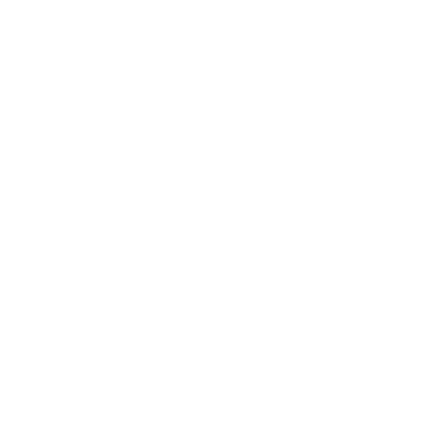 website icon