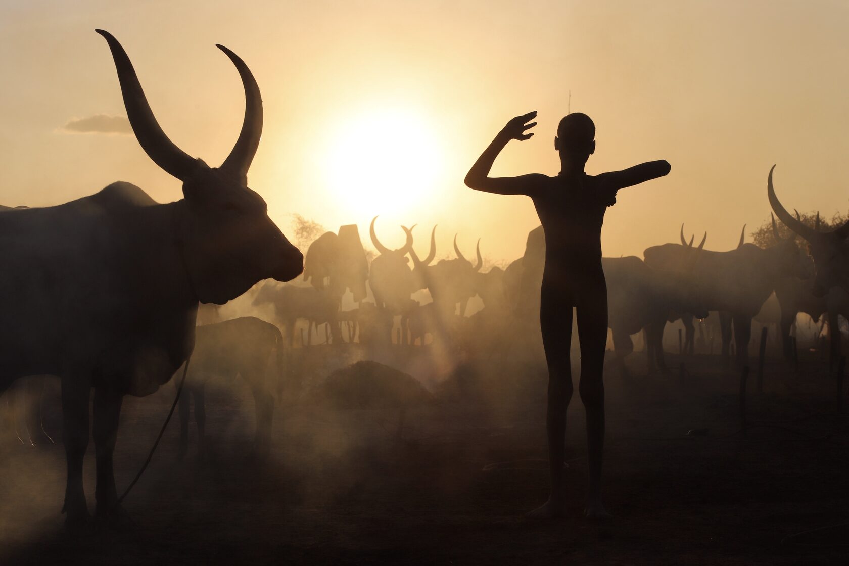 Племя Мундари в Южном Судане. Южный Судан племя Динка. Племя скотоводов Мундари. Южный Судан скотоводство.
