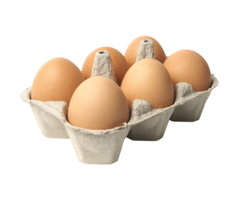 eggs