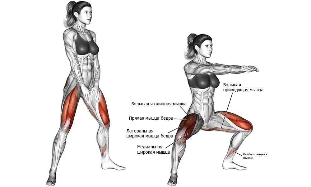 упражнения с блином лежа. Смотреть фото упражнения с блином лежа. Смотреть картинку упражнения с блином лежа. Картинка про упражнения с блином лежа. Фото упражнения с блином лежа