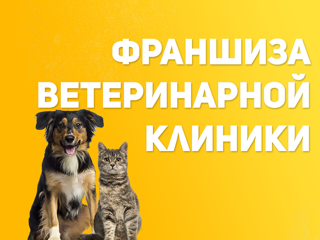 Франшиза ветеринарной клиники | Купить франшизу. ру