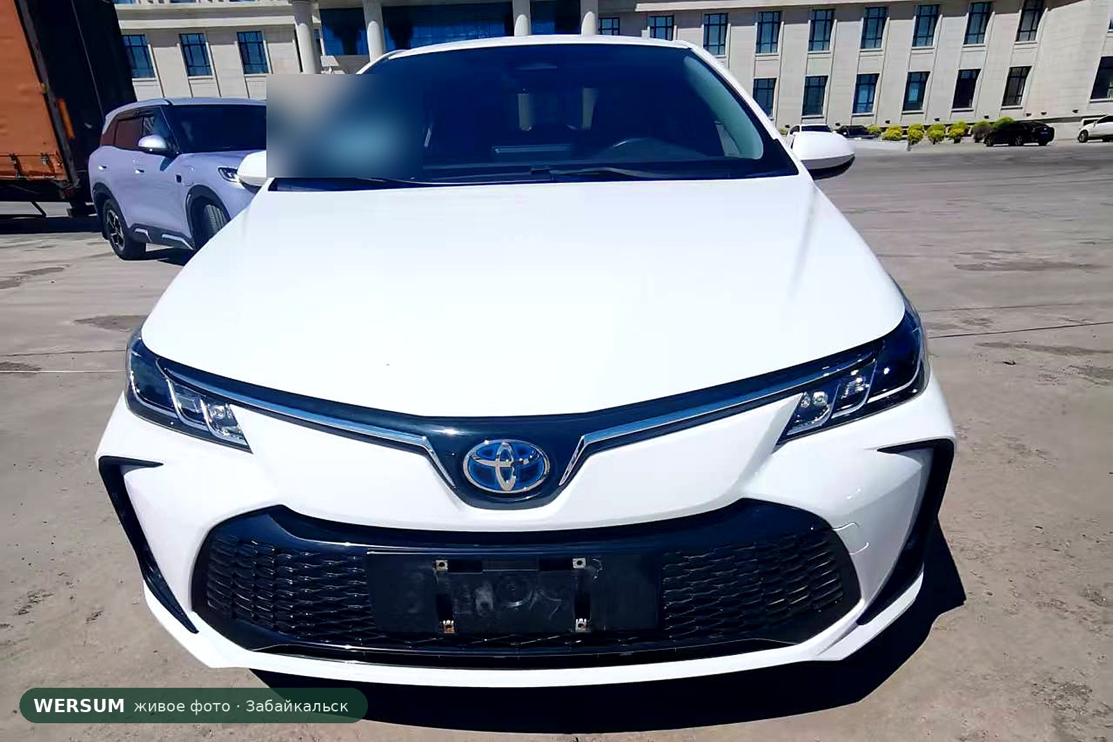Toyota Corolla, гибрид: синий логотип