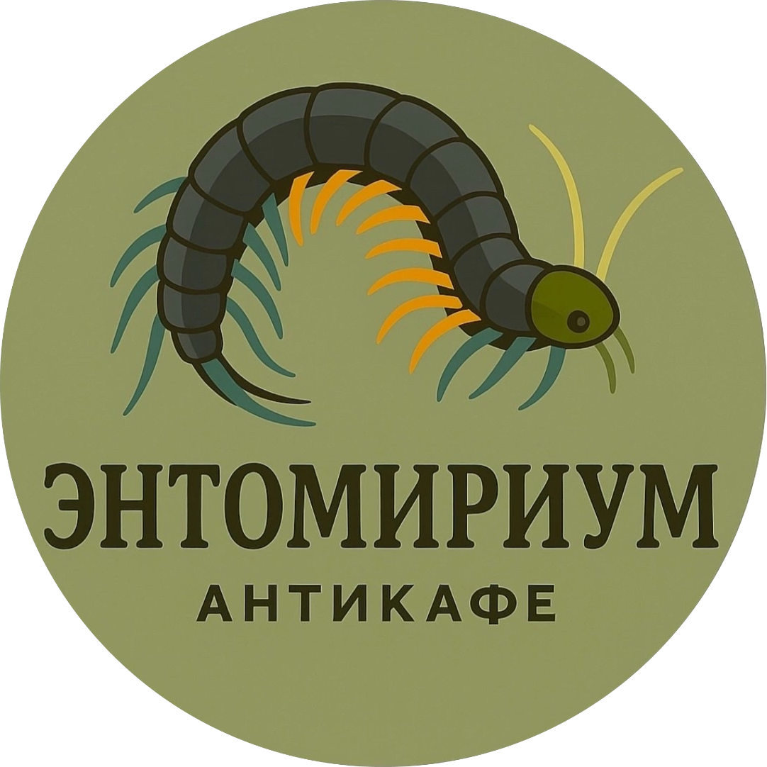 ЭнтоМириум