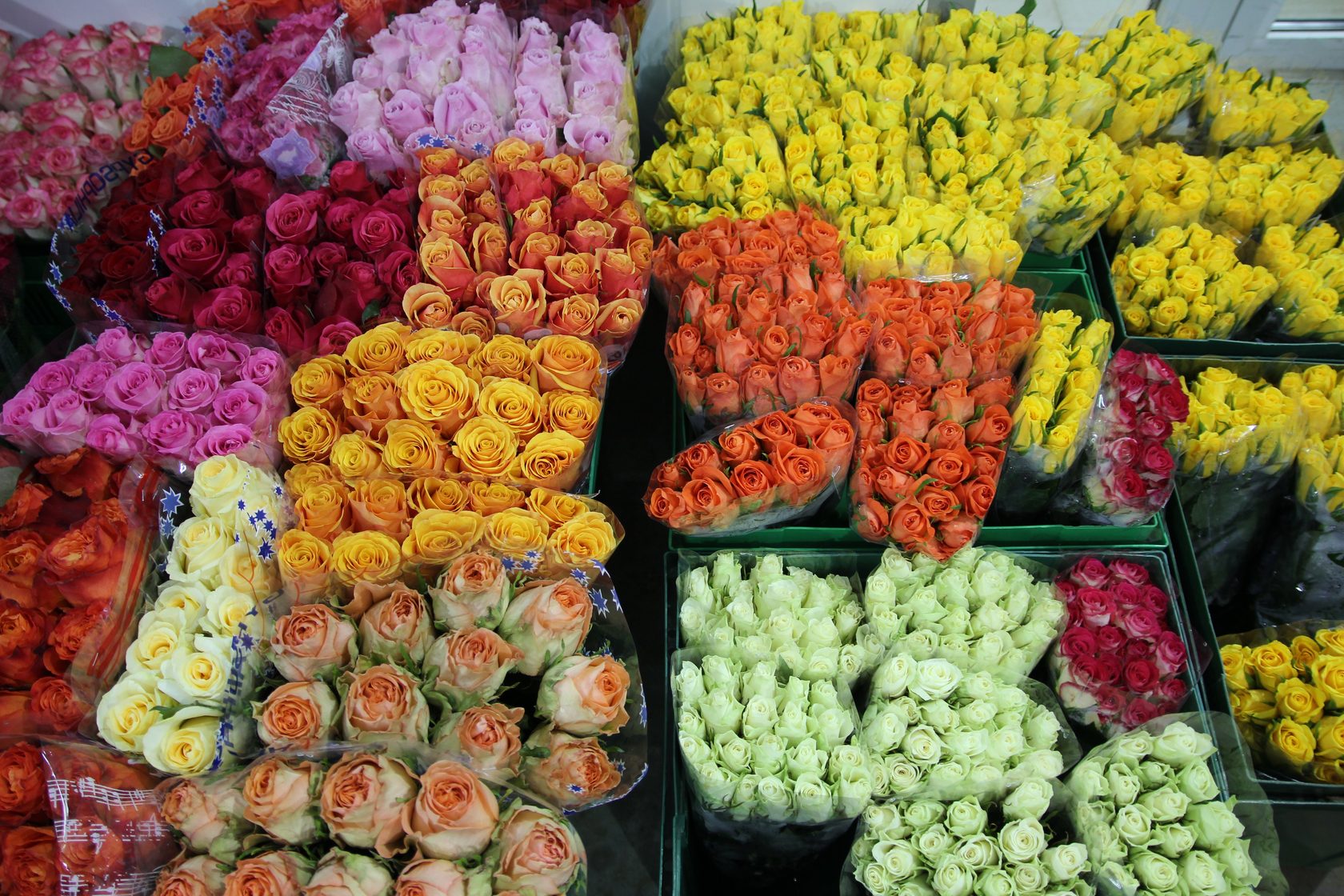 Купить Цветы В Костроме Недорого Адреса Магазинов