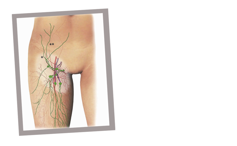 Валерий Уваров Пирамиды наследие богов, Кадуцеи Гора, Кадуцеи Ба-Ка, Жезлы Гора, Цилиндры фараона, Жезлы Египтян, Жезлы Ра