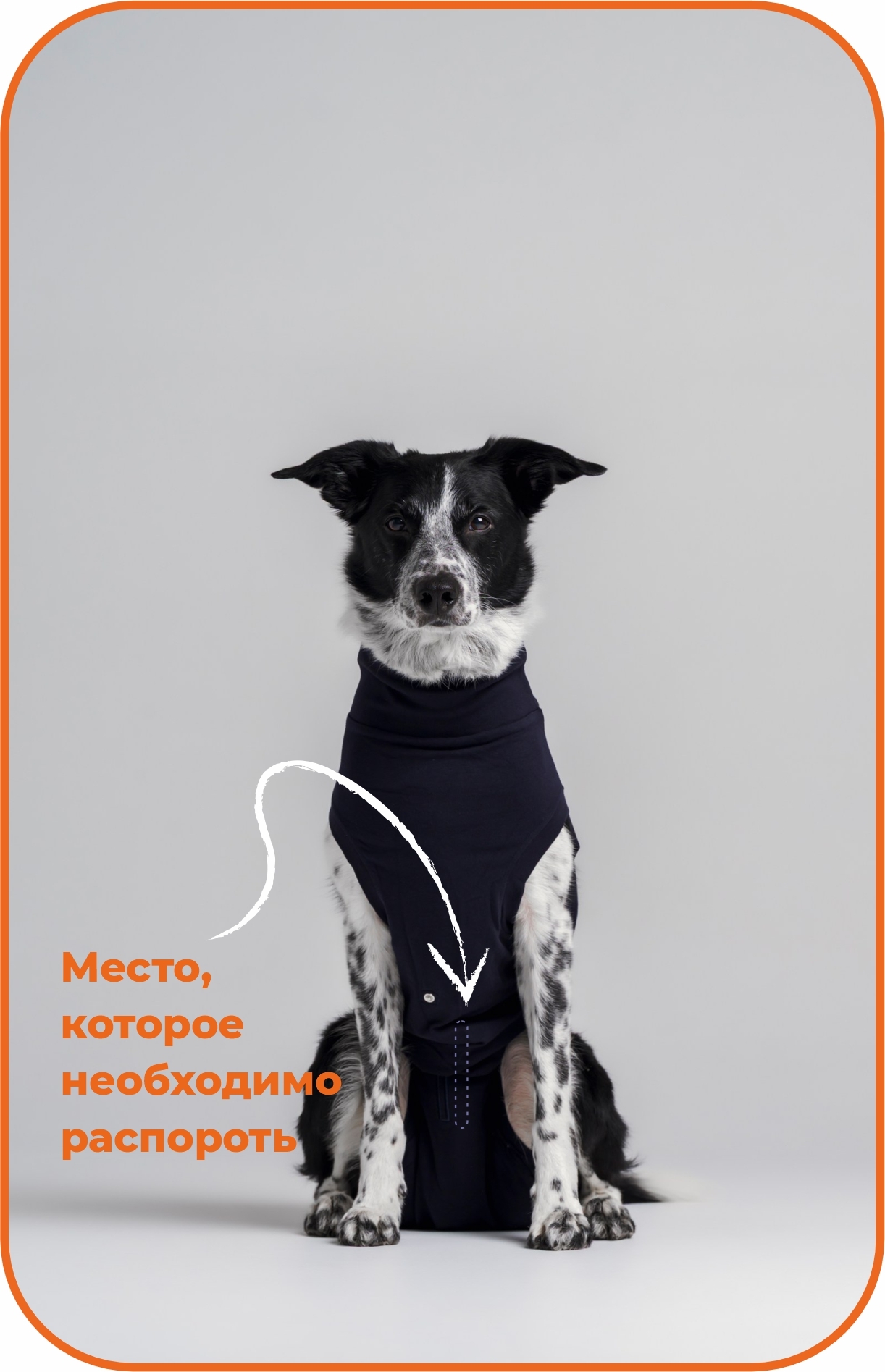 Вариант для мальчиков