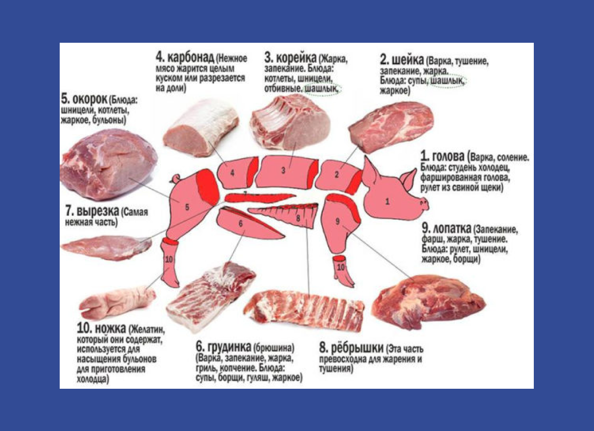 Части вырезки свинины. Схема разделки свиной туши карбонат.