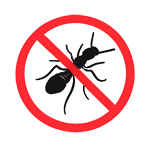 Обработка на муравьев