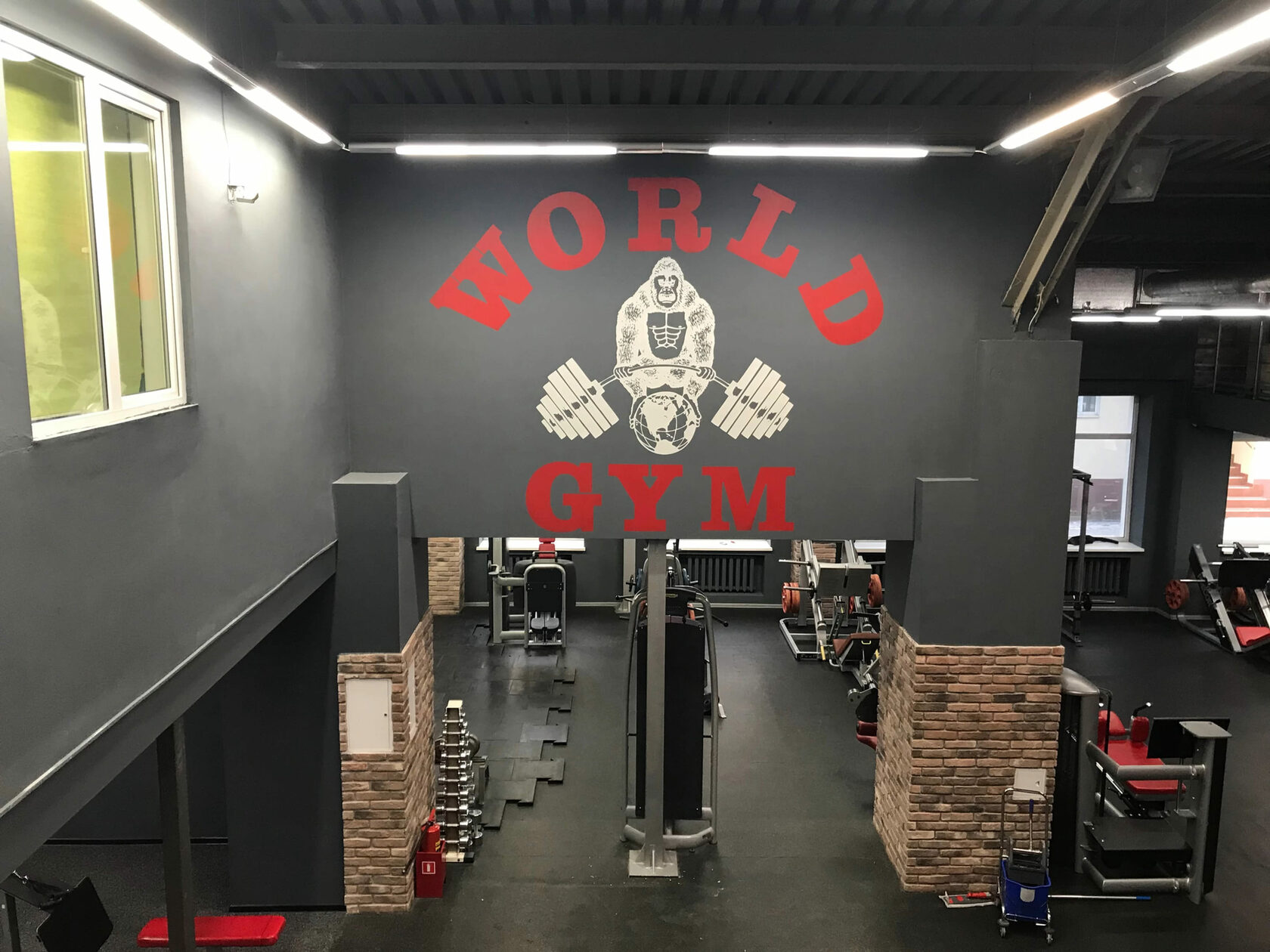 Оформление стен в фитнес-клубе «World Gym»