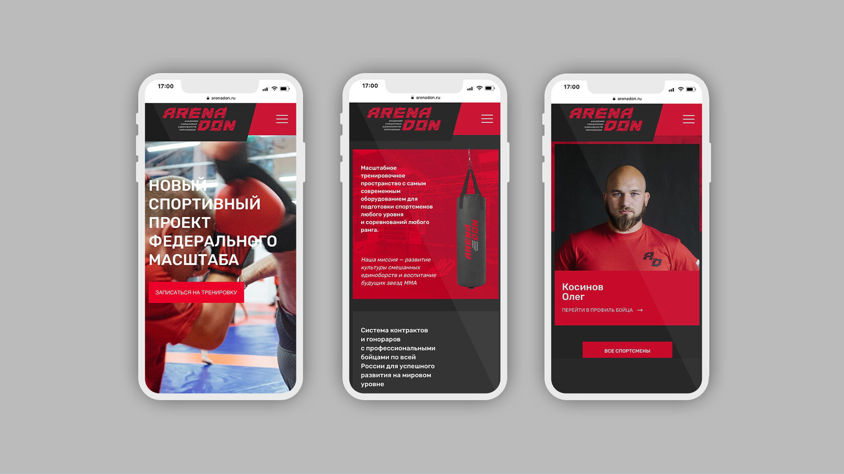 Arena Don – оригинальный материал проекта