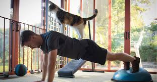 Tips for Staying Motivated During At-Home Workouts - Perspire.tv Online Fitness Streaming Platform Workout Platform