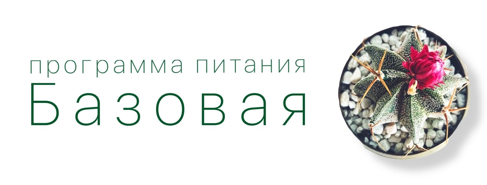 Программы питания на основе анализа на хроническую пищевую непереносимость