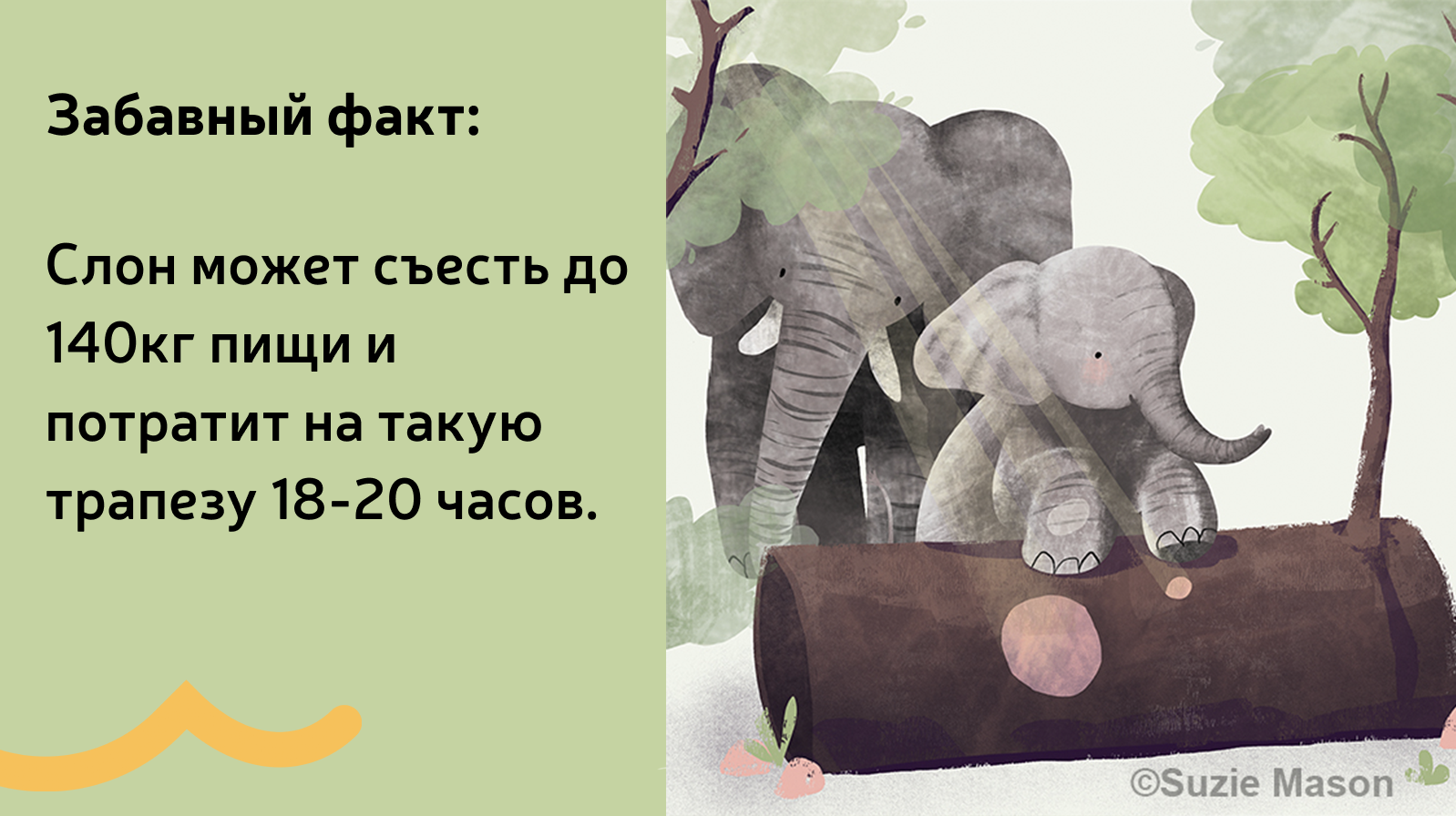 описание слона для детей