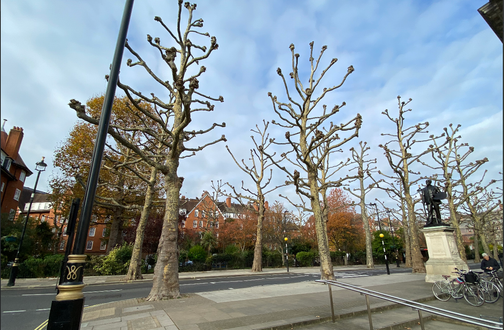 Нулевая бухгалтерская отчетность — Перспектива