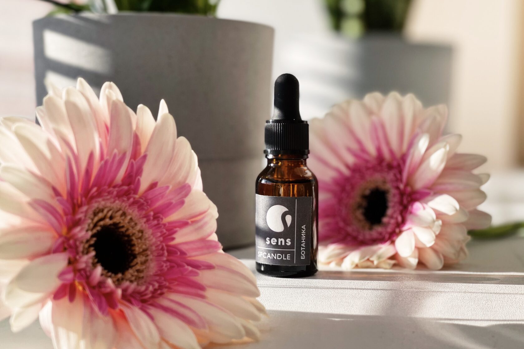 Эфирное масло Ботаника - купить масло с ароматом полевых цветов