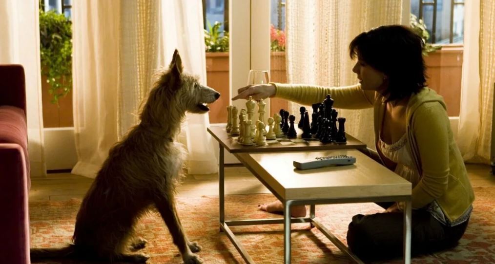 Кадр из фильма «Дом у озера»   