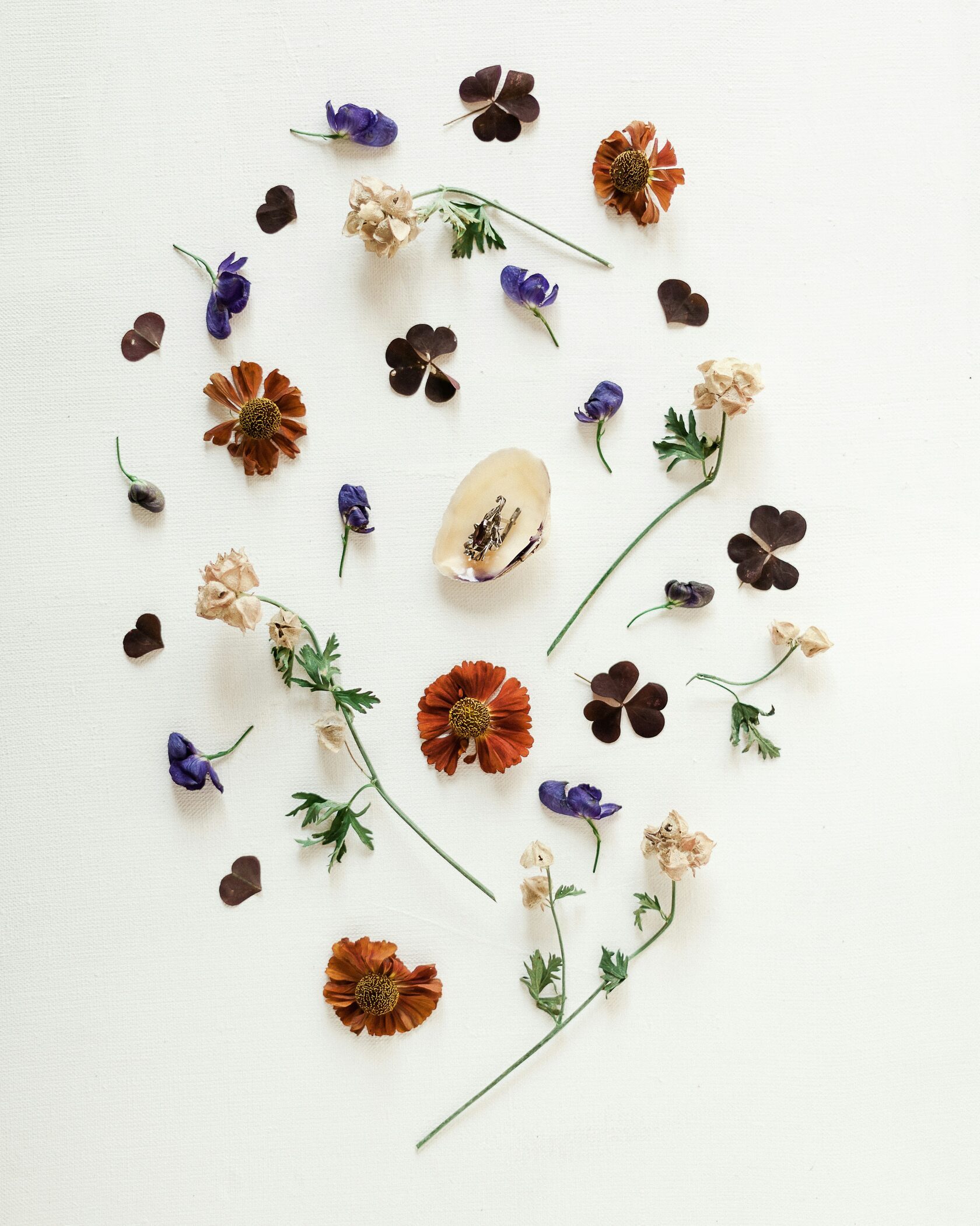 Композиция из стабилизированных роз и сухоцветов - Herbarium/Studio