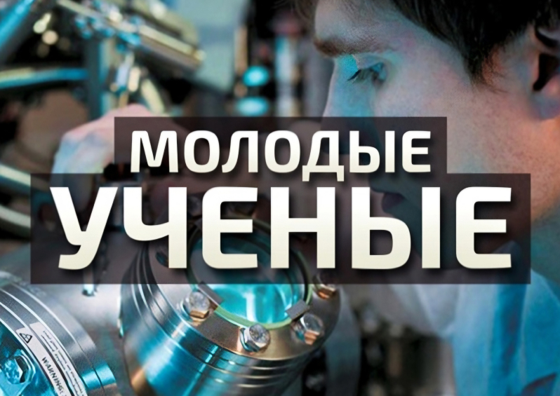 Преподаватели юридического факультета – победители конкурса грантов «Наука молодых»