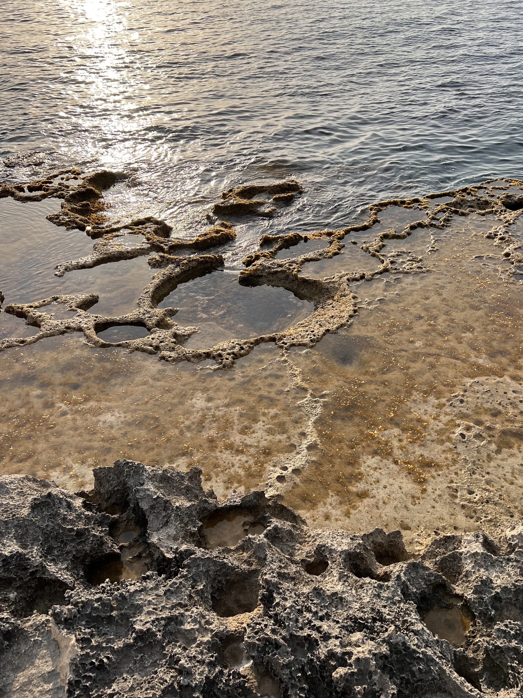 Наблюдения за неживой природой: статья ЕКА КОМА