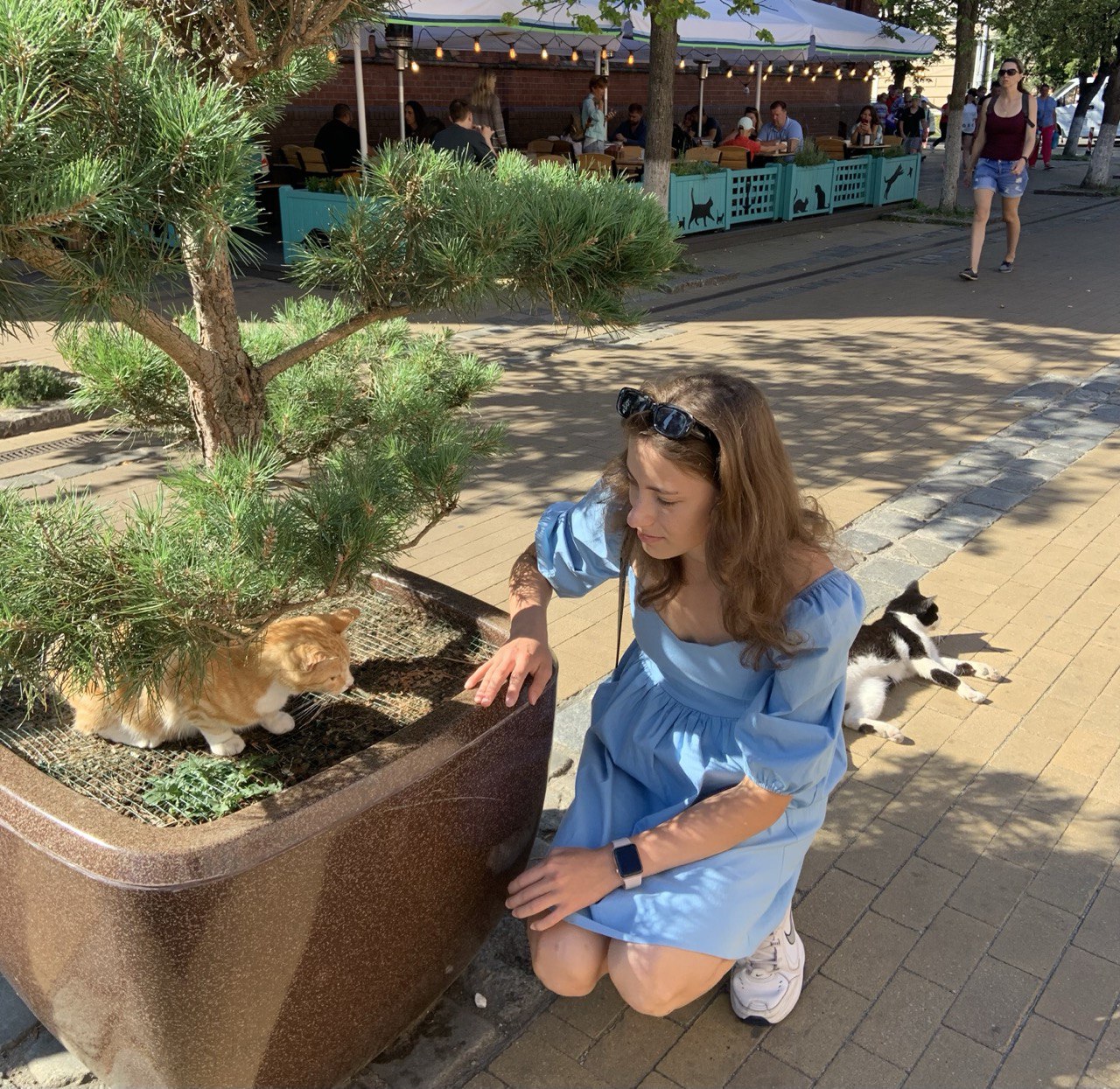 Интерактивные мероприятия с котами в Зеленоградске
