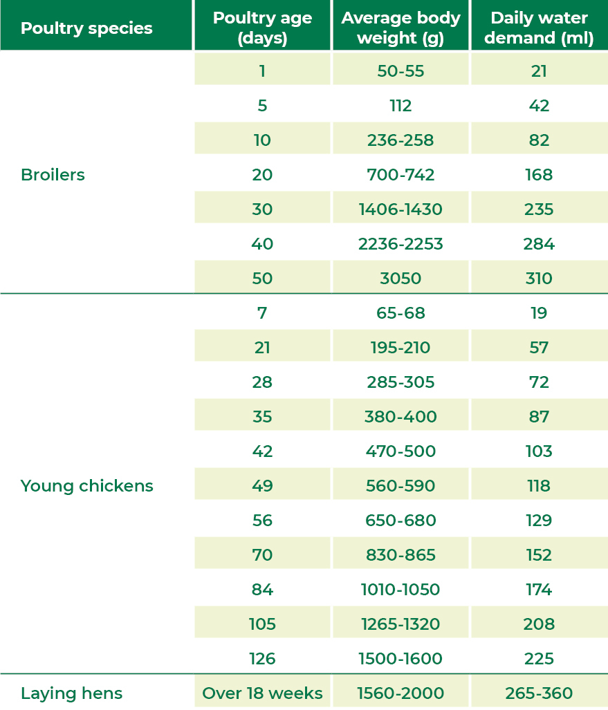 Poultry problems with watering lines