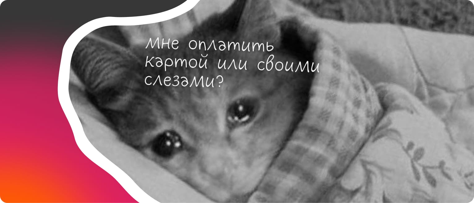 Как настроить оплату - Блог Достависты