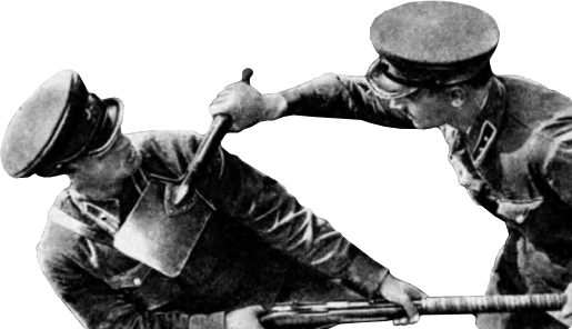 История Армейского рукопашного боя