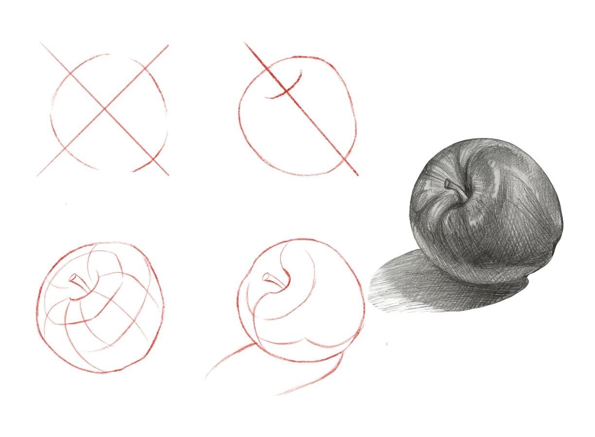 Apple drawing tutorial