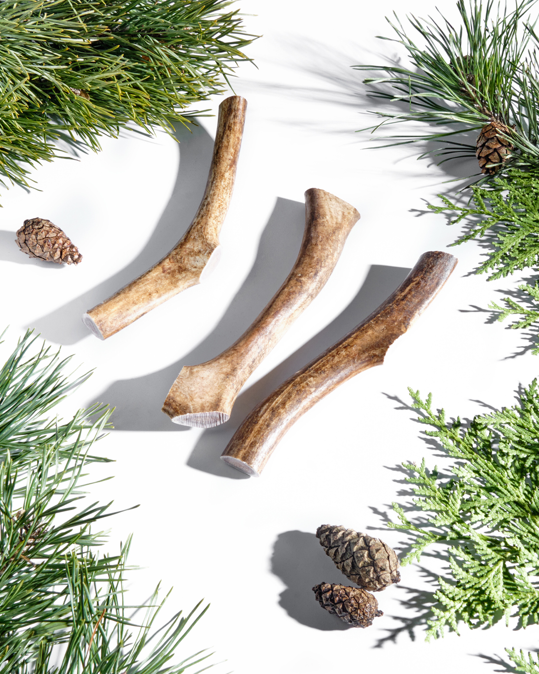 имиджевая съемка для маркетплейсов