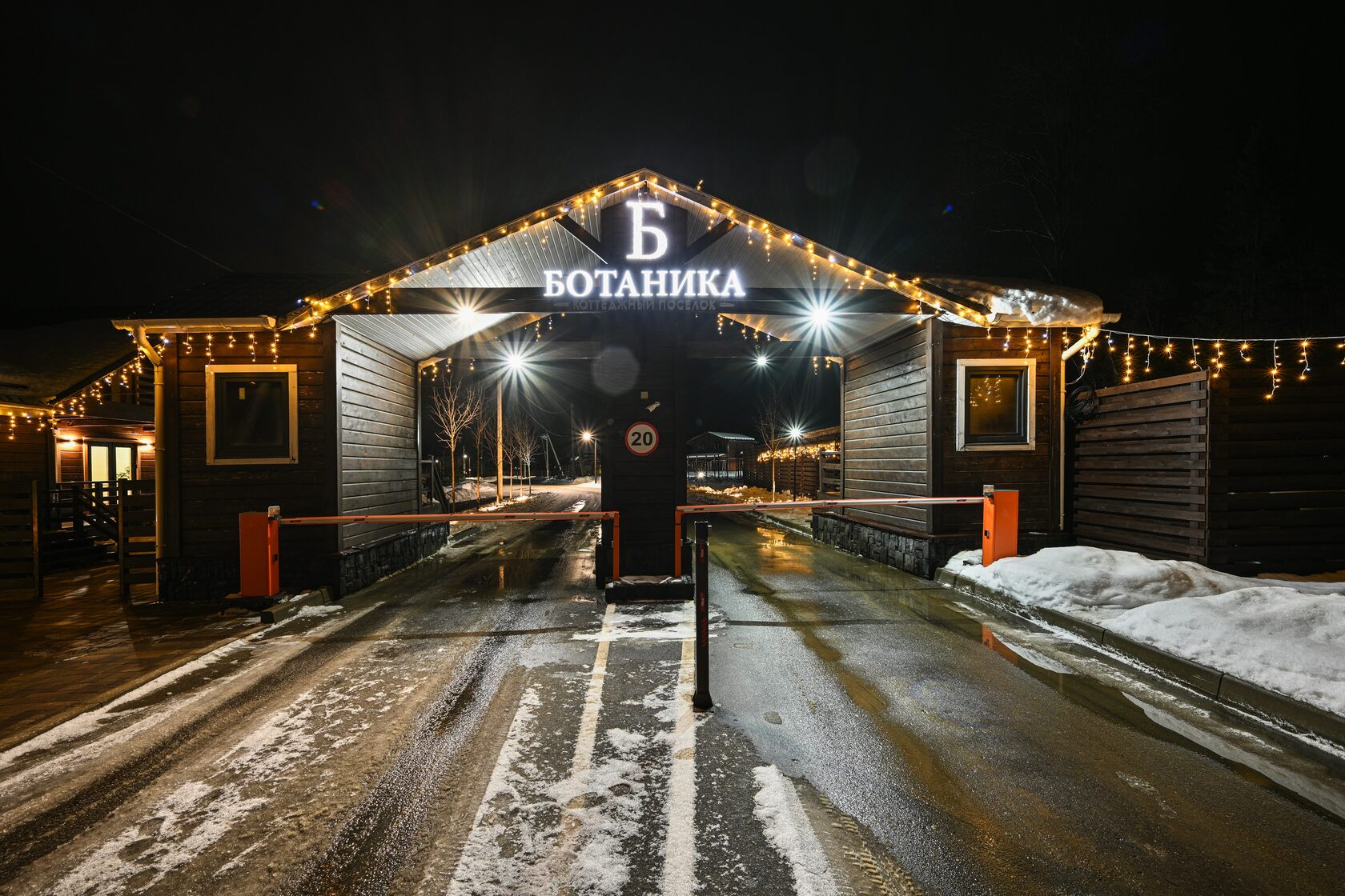 «Ботаника» зимой: заснеженный посёлок у леса