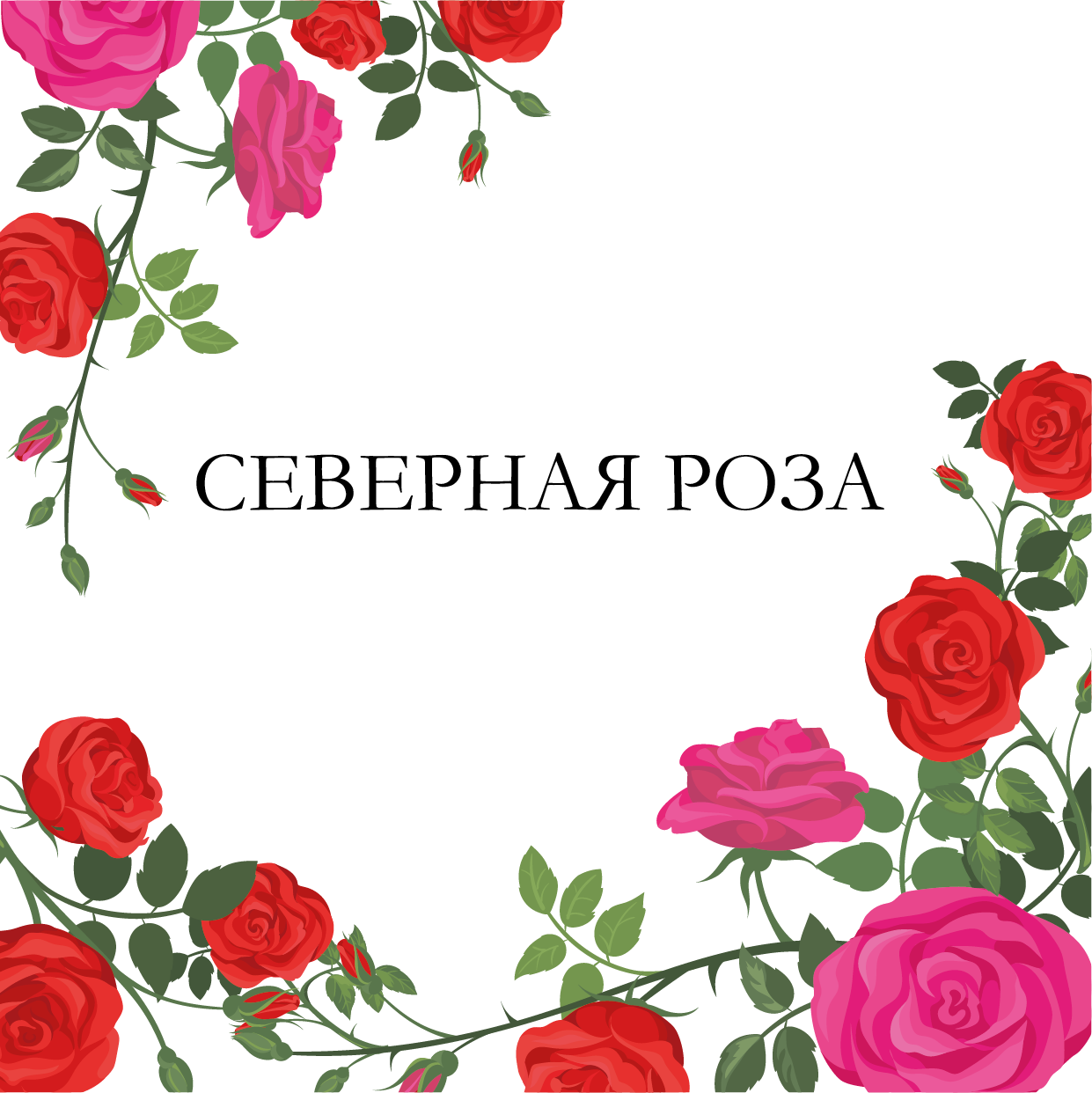 СЕВЕРНАЯ РОЗА
