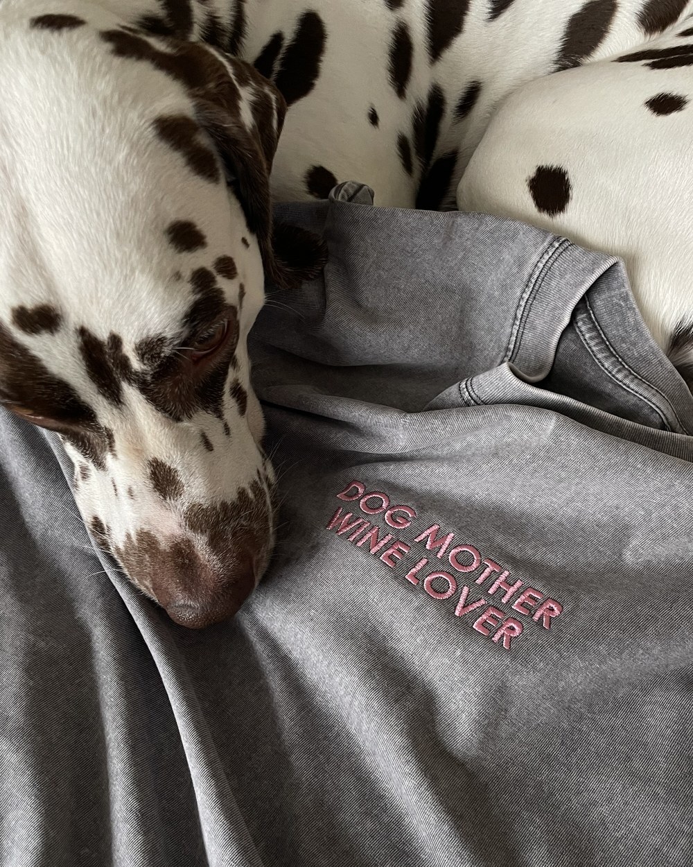 Собака на свитшоте «DOG MOTHER WINE LOVER» wag'n'tails