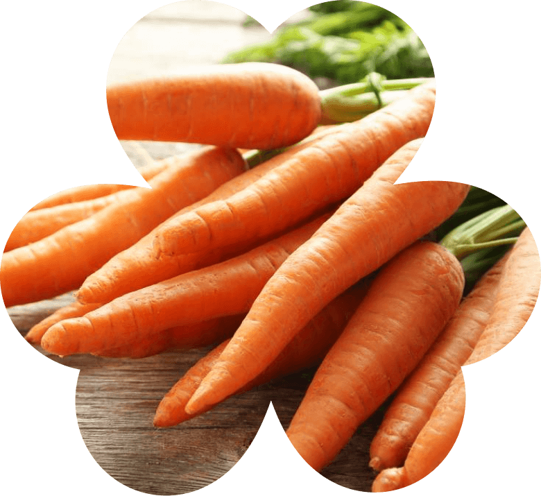 Морковь