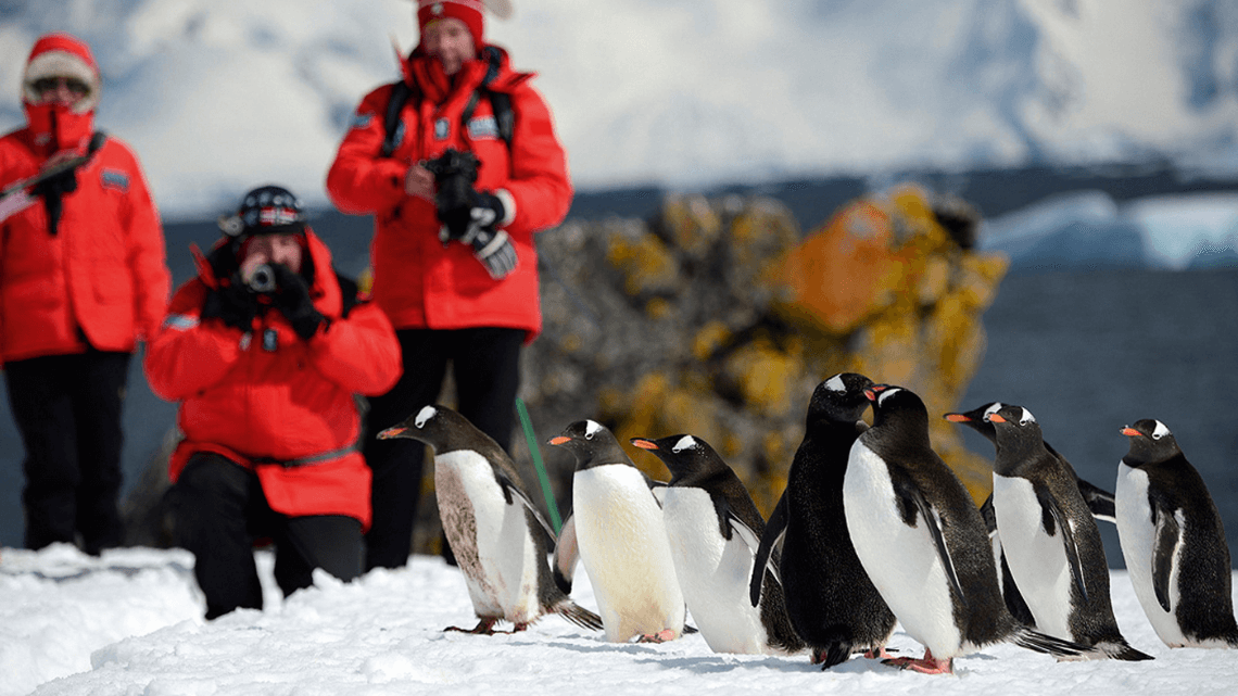 Christmas in Antarctica