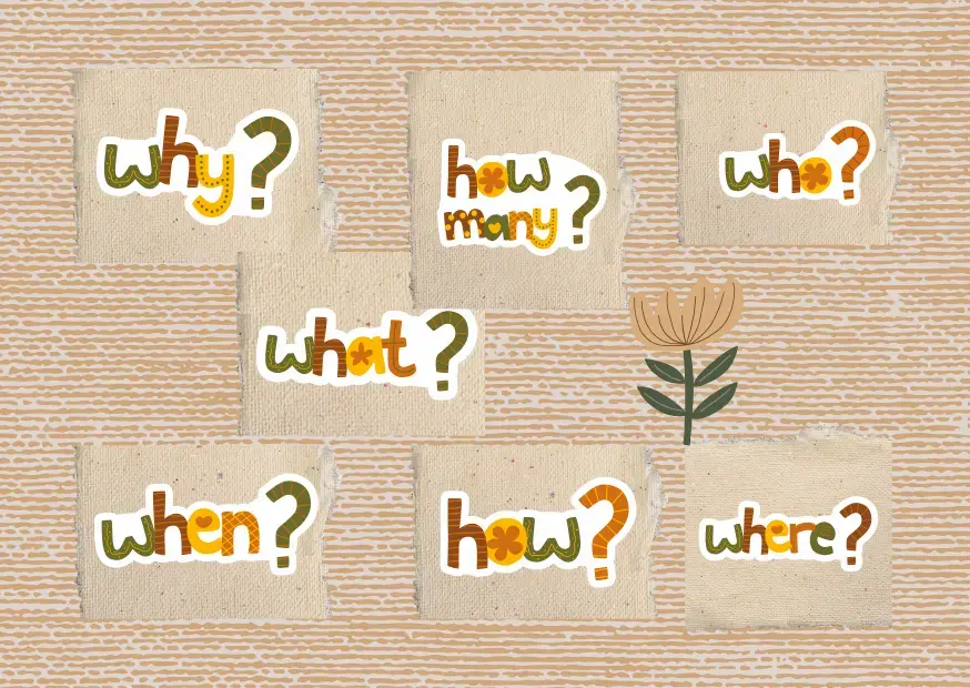 Вопросительные слова на английском: why, how many, who, what, when, how, where