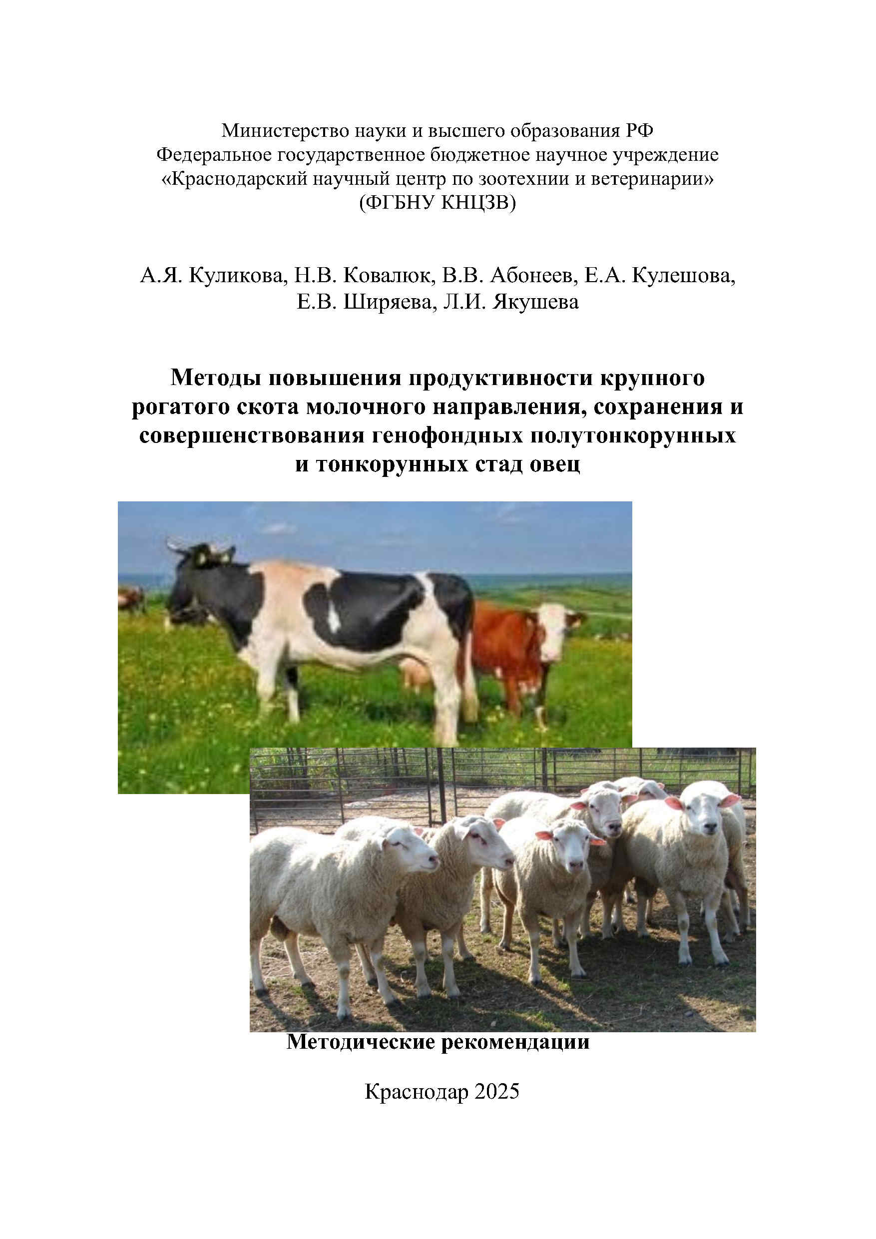 молочная и мясная порода, повышение репродуктивных качеств, днк-тестирование, внутрипородная селекция, учебное пособие, монография, методические рекомендации, Краснодарский научный центр по зоотехнии и ветеринарии, ФГБНУ КНЦЗВ