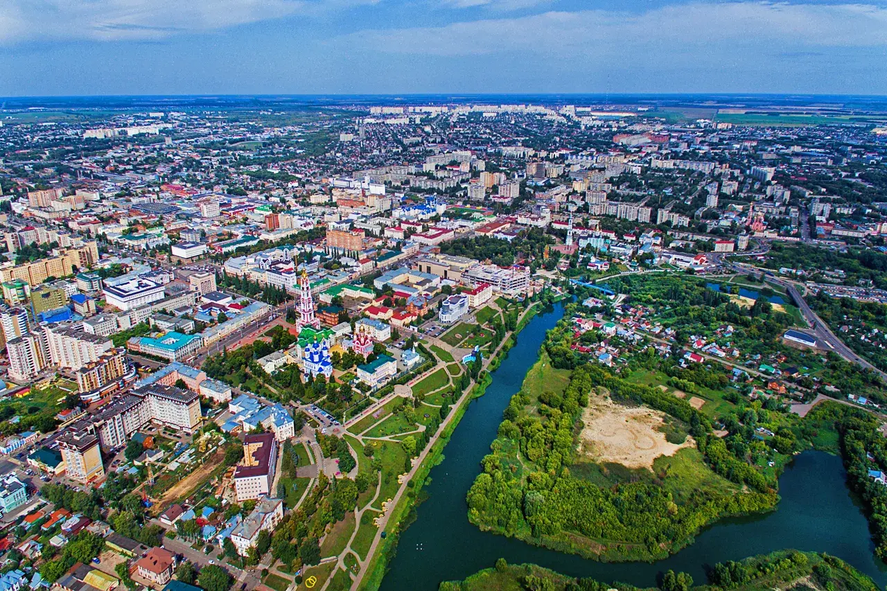 Посадка деревьев в городе