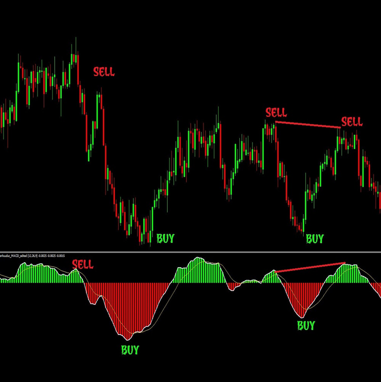 forex indicator macd colored indicator