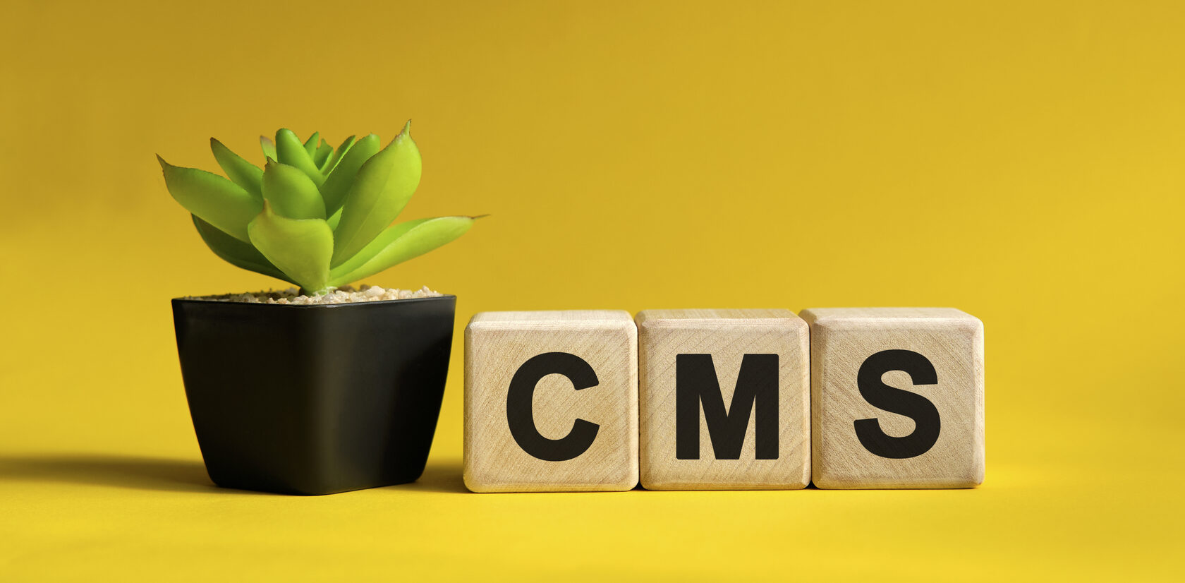 Сравнение популярных CMS: почему Тильда — оптимальный выбор для современного сайта