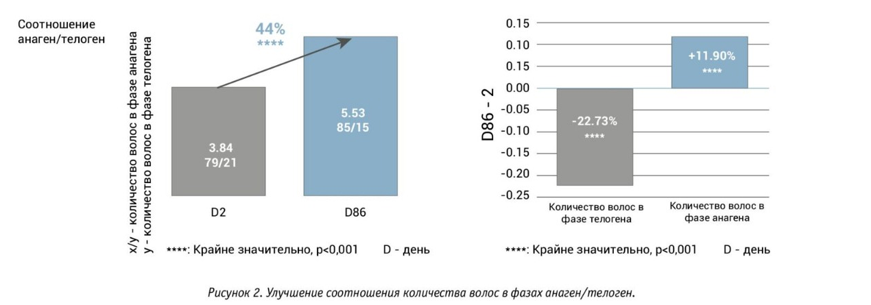 Графики улучшения соотношения количества волос в фазах анагена и телогена