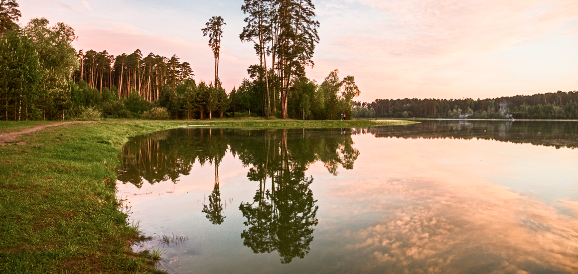 Экопарк Лебяжье Казань